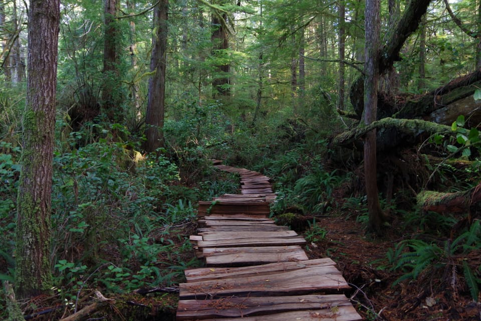 What David Suzuki said, and the balance of realism and optimism